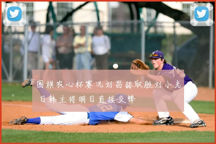 围棋农心杯赛况刘昌赫取胜刘小光 日韩主将明日直接交锋