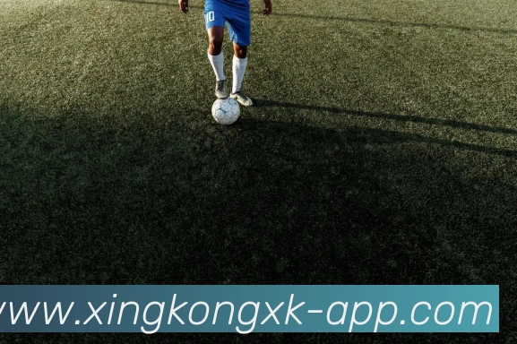 星空体育app(XINGKONG)官方授权体育信息服务中心平台生态图