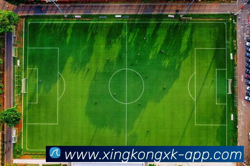 App Interface Preview